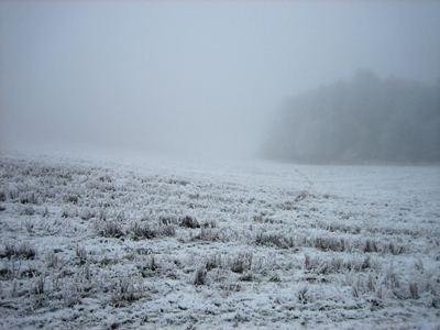 field