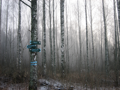 signs