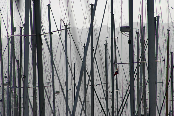 sausalito masts